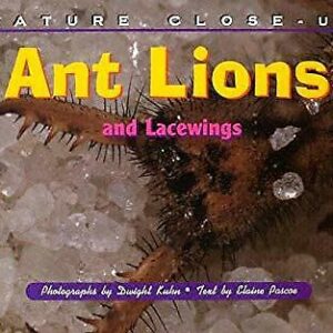 Ant Lions and Lacewings (Nature Close-Up) by Elaine Pascoe, Dwight Kuhn